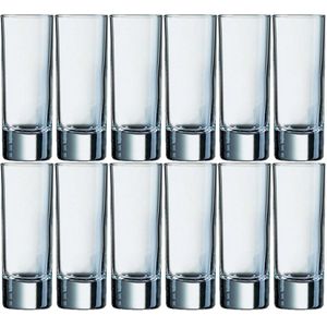 12x Stuks shotglazen/shotglaasjes van glas 65 ml