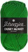 Scheepjes Chunky Monkey 2014 Emerald