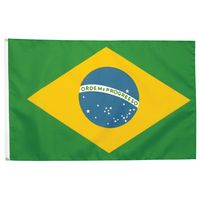 Brazilië Vlag (100 x 150 cm)
