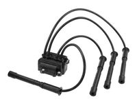 Bobine 16148850003