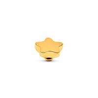 Melano Twisted Basic Star Steentje Goud