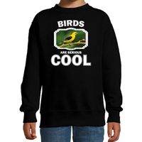 Sweater birds are serious cool zwart kinderen - vogels/ wielewaal vogel trui - thumbnail