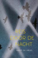 Reis door de nacht - Anne de Vries - ebook