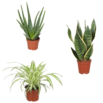 Luchtzuiverende slaapkamer combi