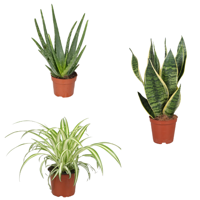 Luchtzuiverende slaapkamer combi