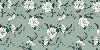 Vinyl tapijt Bloemen en planten Mooie witte magnoliaboom