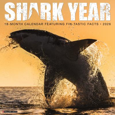 Haaien Kalender 2026