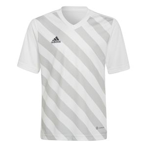 adidas Entrada 22 Graphic Voetbalshirt Kids Wit Grijs