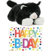 Cadeau setje pluche zwart/witte kat/poes knuffel 25 cm met Happy Birthday wenskaart - thumbnail
