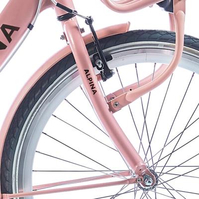 Alpina voorvork 24 clubb desert pink matt