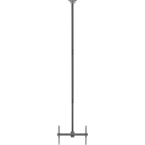 Neomounts CL35-440BL16XL TV-plafondbeugel In hoogte verstelbaar, Zwenkbaar, Kantelbaar 94,0 cm (37) - 177,8 cm (70) Plafondhouder