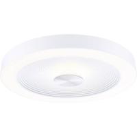 Paulmann 71179 Volea LED-plafondlamp LED 4 W, 18.5 W Wit, Zilver