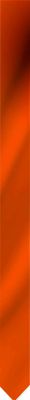 Wimpel oranje met kwast