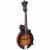 The Loar LM-590-MS all-solid F-stijl mandoline mat burst