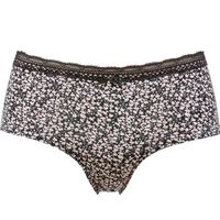 Trofe Laila Brief