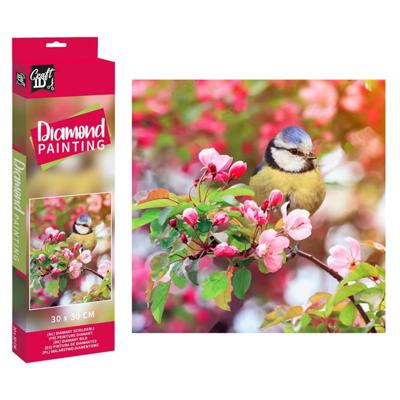 Grafix Craft id diamond painting vogel 30x30cm