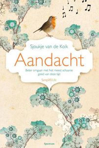 Aandacht - Sjoukje van de Kolk - ebook