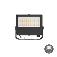 LED Floodlight met Instelbare Lichtkleur en Sterkte (60-100W | 3000-6500K) | ThatsLed | ThatsLed | ThatsLed | ThatsLed