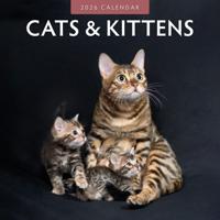 Katten en Kittens Kalender 2026