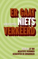 Er gaat niets verkeerd (Paperback) - thumbnail