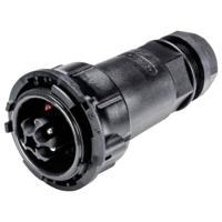 Wieland Electric 97.052.4053.1 Steekverbinder