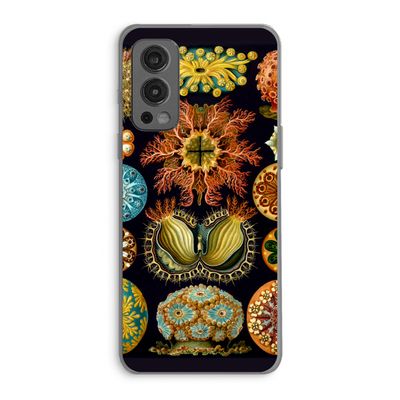 Haeckel Ascidiae: OnePlus Nord 2 5G Transparant Hoesje