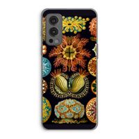 Haeckel Ascidiae: OnePlus Nord 2 5G Transparant Hoesje