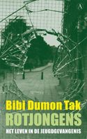 Rotjongens - Bibi Dumon Tak - ebook