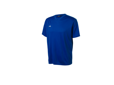 CRIVIT Heren sportshirt (Blauw, M)