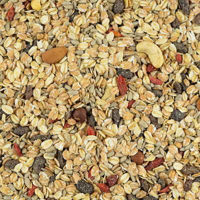 Muesli mix rijk gevuld (bio) 450 gram