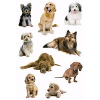 Dieren stickers hondjes 3 stuks - thumbnail