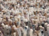 Brink en Campman - Dots 170528 - 250x350 cm Vloerkleed
