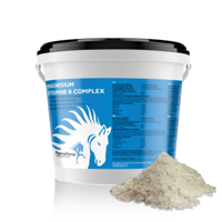 Magnesium Vitamine B complex paard