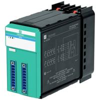 Pepperl+Fuchs FB5204B3 276331 RTD-meetomvormer 1 stuk(s)