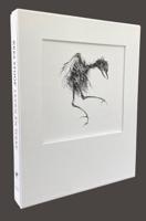 Kees Stoop (Hardback)