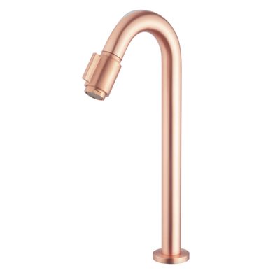 OUTLET Toiletkraan XL Wiesbaden Victoria 1/2 inch Geborsteld Koper