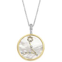 TI SENTO-Milano 6826PI Ketting Sterrenbeeld Vissen zilver-synth.kristal-parelmoer-zirconia goud-en zilverkleurig-wit 45 cm