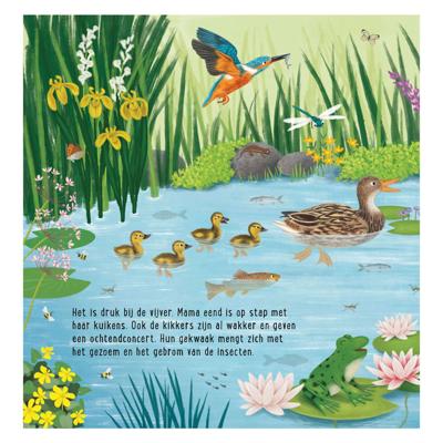 Deltas Mijn eerste zoekboek - dieren bij het water