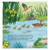 Deltas Mijn eerste zoekboek - dieren bij het water