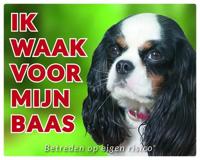 Cavalier King Charles Spaniel Waakbord - Tricolour
