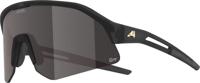 Alpina sonic hr m q-lite - sports glasses