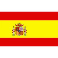 Mini vlag Spanje 60 x 90 cm