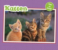 Katten (Hardback)