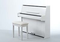 Oostendorp P1 Deluxe V PWH chroom digitale piano