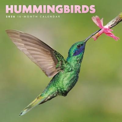 Kolibries Kalender 2026 Mini