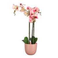 Orchidee kunstplant roze - 75 cm - inclusief bloempot lichtroze glans - Kunstplanten - thumbnail