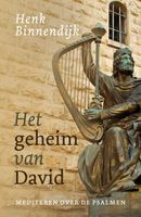 Het geheim van David - Henk Binnendijk - ebook