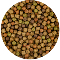 Vivani Japanse Mix 6mm - Premium Koivoer voor Vijvers, Rijke Voeding, 6kg
