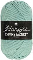 Scheepjes Chunky Monkey 1820 Mist