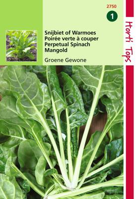 Snijbiet Groene Gewone - Hortitops